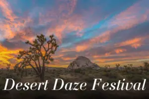 Desert Daze Festival